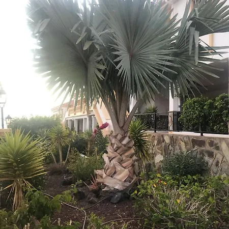 Hipnautic Vibes 1br Apt W-poolocean View Near Aqualand, Wifi, Netflix, Free Parking, 2 Pools Access * Costa Adeje (Tenerife)